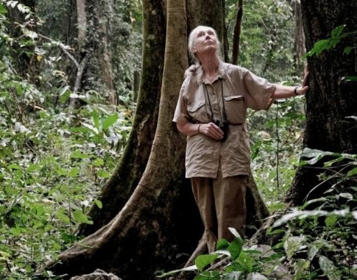 Jane Goodall y sus razones para sentirse optimista