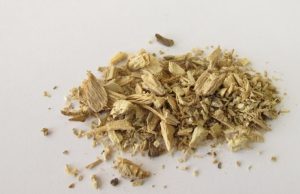 Kava kava: conozca la hierba tranquilizadora Revista Selecciones