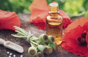 La amapola y sus propiedades inhibidoras del dolor Revista Selecciones