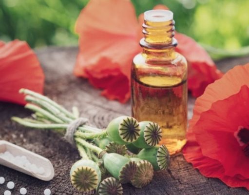 La amapola y sus propiedades inhibidoras del dolor