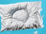 Mejorar el rendimiento del cerebro es posible