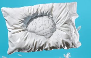 Mejorar el rendimiento del cerebro es posible Revista Selecciones