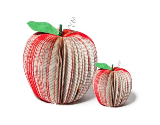 La lectura, un alimento perfecto para su cerebro