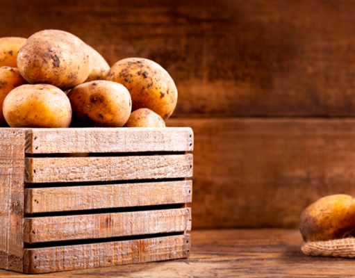 La papa es nutrición y alimentación para todas las edades