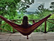 La Selva Misionera es el mejor destino para conectarse