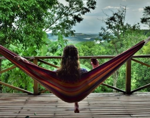La Selva Misionera es el mejor destino para conectarse