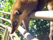 Las 7 Maravillas no están en pausa: qué sucede mientras estamos en confinamiento