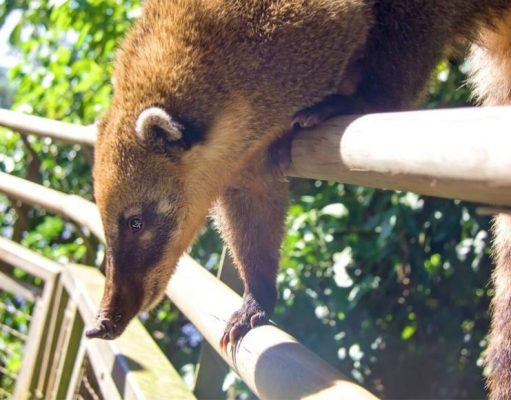 Las 7 Maravillas no están en pausa: qué sucede mientras estamos en confinamiento