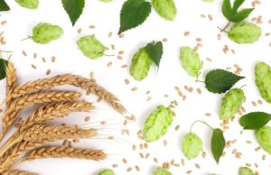 Las plantas con más efectos curativos Revista Selecciones