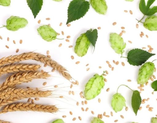 Las plantas con más efectos curativos