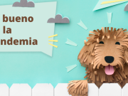 Lectores encontraron el lado positivo en la pandemia