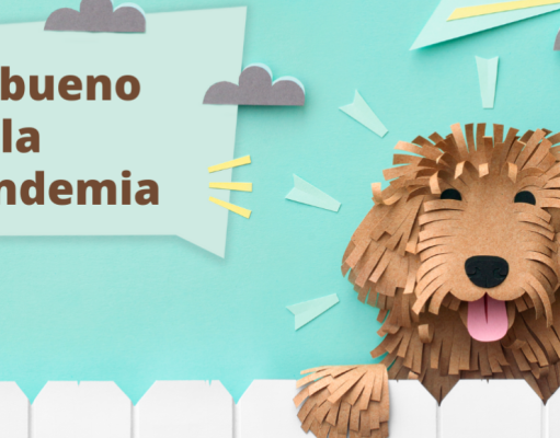 Lectores encontraron el lado positivo en la pandemia