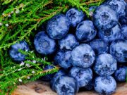 Los antioxidantes y su efecto antienvejecimiento