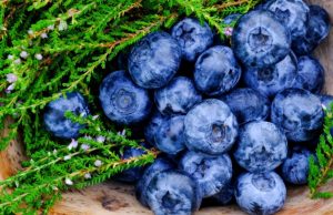 Los antioxidantes y su efecto antienvejecimiento Revista Selecciones