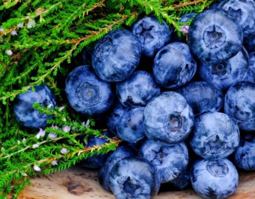 Los antioxidantes y su efecto antienvejecimiento