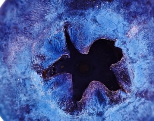 Los arándanos cuidan su visión