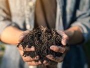 Manos a la tierra: haga compost para su jardín