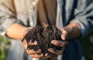 Manos a la tierra: haga compost para su jardín Revista Selecciones