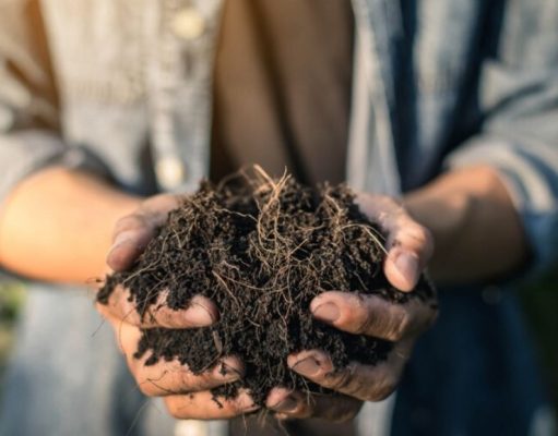 Manos a la tierra: haga compost para su jardín