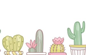 La mejor manera de cultivar cactus y suculentas Revista Selecciones