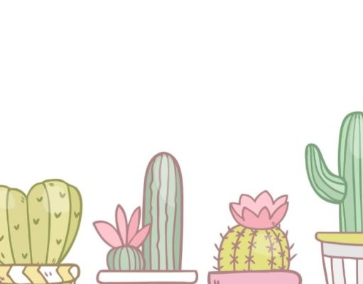 La mejor manera de cultivar cactus y suculentas