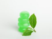 Más que refrescante: descubra las propiedades de la menta