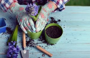 9 accesorios impensados para su jardín Revista Selecciones