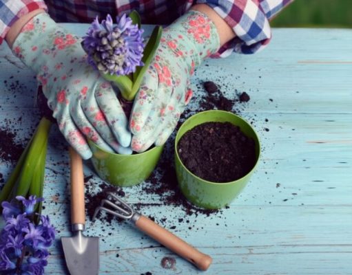 9 accesorios impensados para su jardín