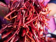 Oaxaca, el paraíso del picante en México