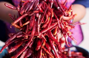 Oaxaca, el paraíso del picante en México Revista Selecciones