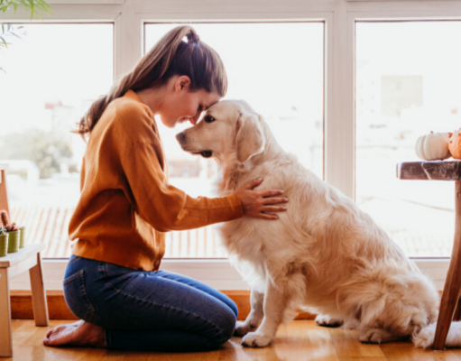¿Tener mascota ayuda a sobrellevar los momentos de estrés?