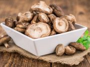 Usos y beneficios de los hongos medicinales