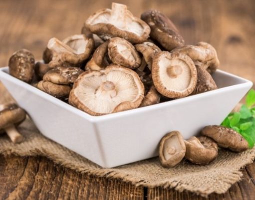 Usos y beneficios de los hongos medicinales