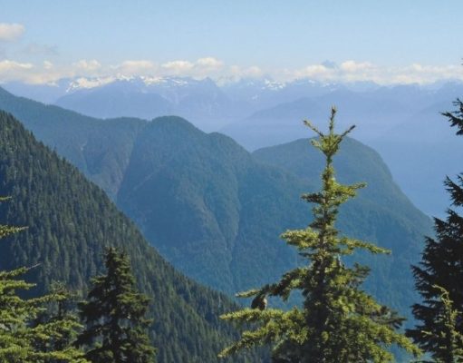 La familia que se perdió en la montaña