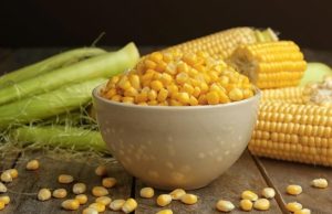 Conozca los beneficios del choclo en su alimentación Conozca los beneficios de incluir choclo en su alimentación
