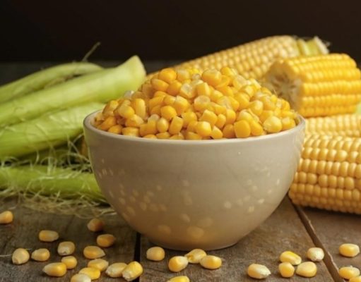 Conozca los beneficios del choclo en su alimentación Conozca los beneficios de incluir choclo en su alimentación