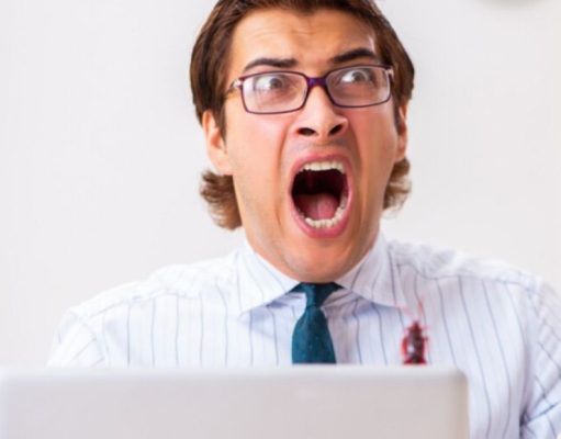 ¿Por qué las cucarachas mueren de espaldas?