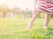 ¿Por qué los mosquitos se ceban con nuestros tobillos?