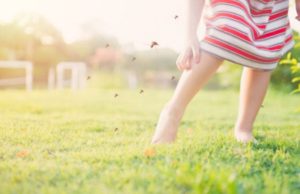 ¿Por qué los mosquitos se ceban con nuestros tobillos? Revista Selecciones