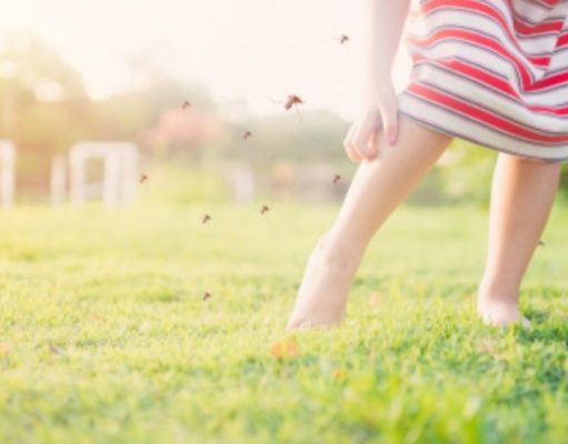 ¿Por qué los mosquitos se ceban con nuestros tobillos?