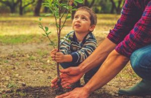 Prepare su jardín para construir su propia huerta Revista Selecciones