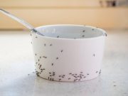 Problemas cotidianos que puede resolver fácilmente