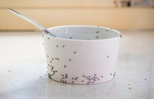 Problemas cotidianos que puede resolver fácilmente Revista Selecciones