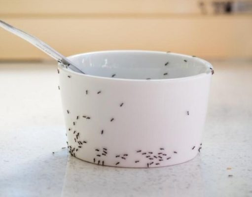 Problemas cotidianos que puede resolver fácilmente