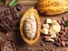 ¿Puede el cacao ayudar a prevenir la obesidad? Revista Selecciones