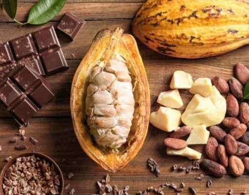 ¿Puede el cacao ayudar a prevenir la obesidad?