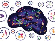 Qué hacer para tener más energía y concentración