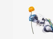 ¿Qué papel tendrán los robots en nuestras vidas?