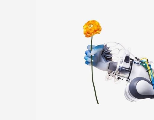 ¿Qué papel tendrán los robots en nuestras vidas?