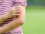 Conozca los insectos que transmiten enfermedades